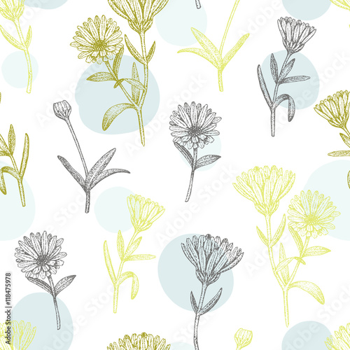 Calendula pattern.