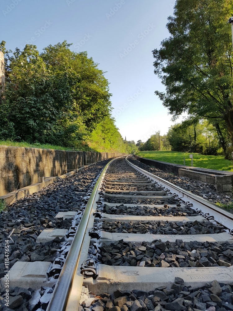 Fototapeta premium Rotaie del treno