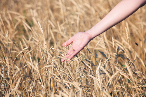 Young women Walking Through Field Checking Wheat Crop