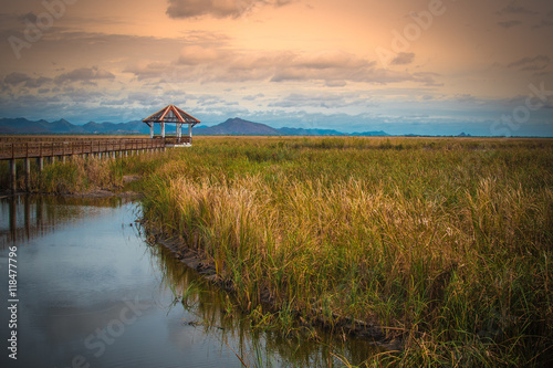 pavilion on the marshes and mountain background at Sam Roi Yod National Park prachuap khiri khan Thailand