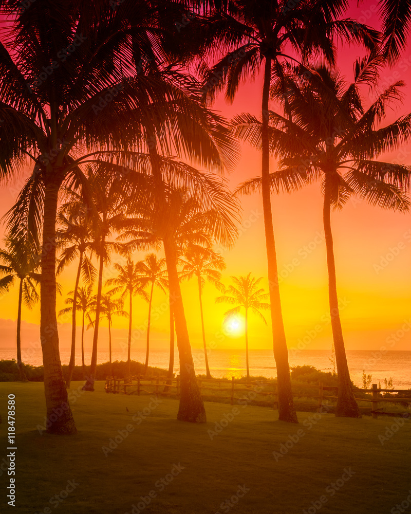 Obraz premium Golden sky with palm trees tropical sunset, hot romantic summer vacation
