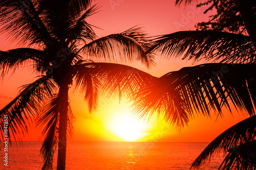 Fototapeta Naklejka Na Ścianę i Meble -  Tropical island sunset with silhouette of palm trees, hot summer day vacation background, golden sky with sun setting over horizon