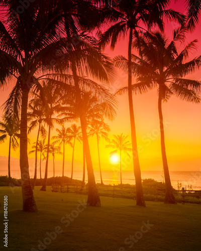 Golden sky with palm trees tropical sunset, hot romantic summer vacation