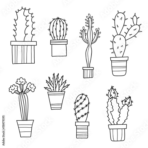 Vector lovely cartoon cacti and plants in pots, hand drawn flowe