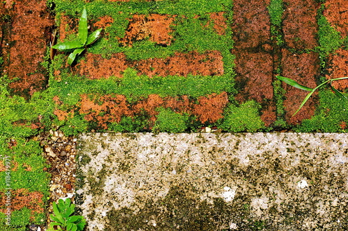 Green moss on old brick in the garden, top view.