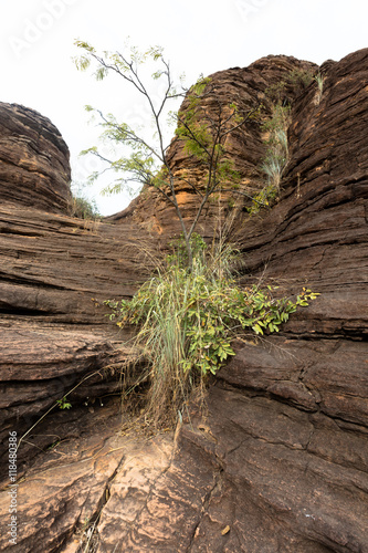 Pancakes rocks photo