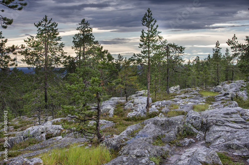 Nature of Finnish Lapland