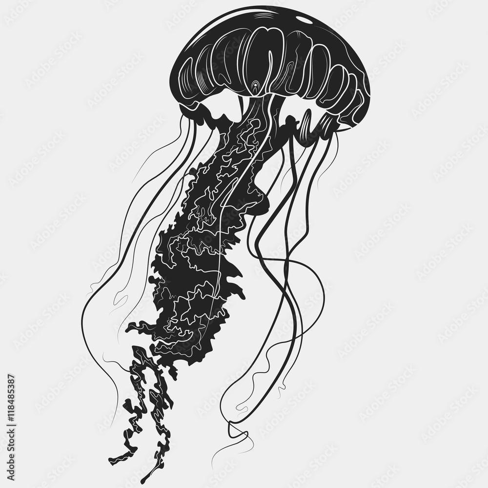 Obraz premium Hand drawn jellyfish isolated on a light background. Vector illustration. Tattoo sketch. Sea collection.