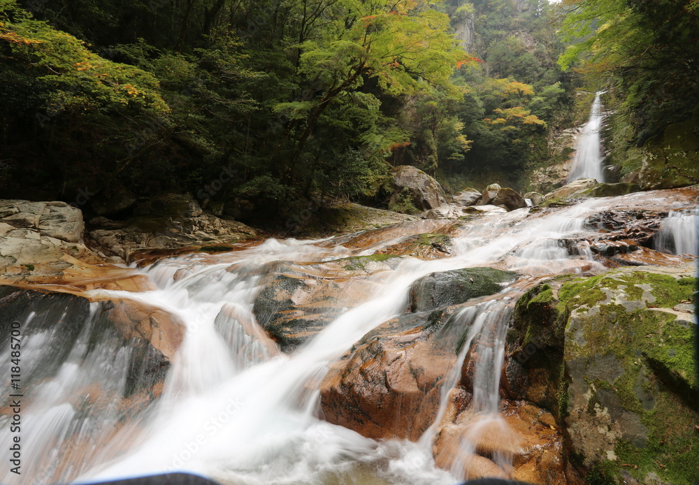 Obraz premium 笹の滝