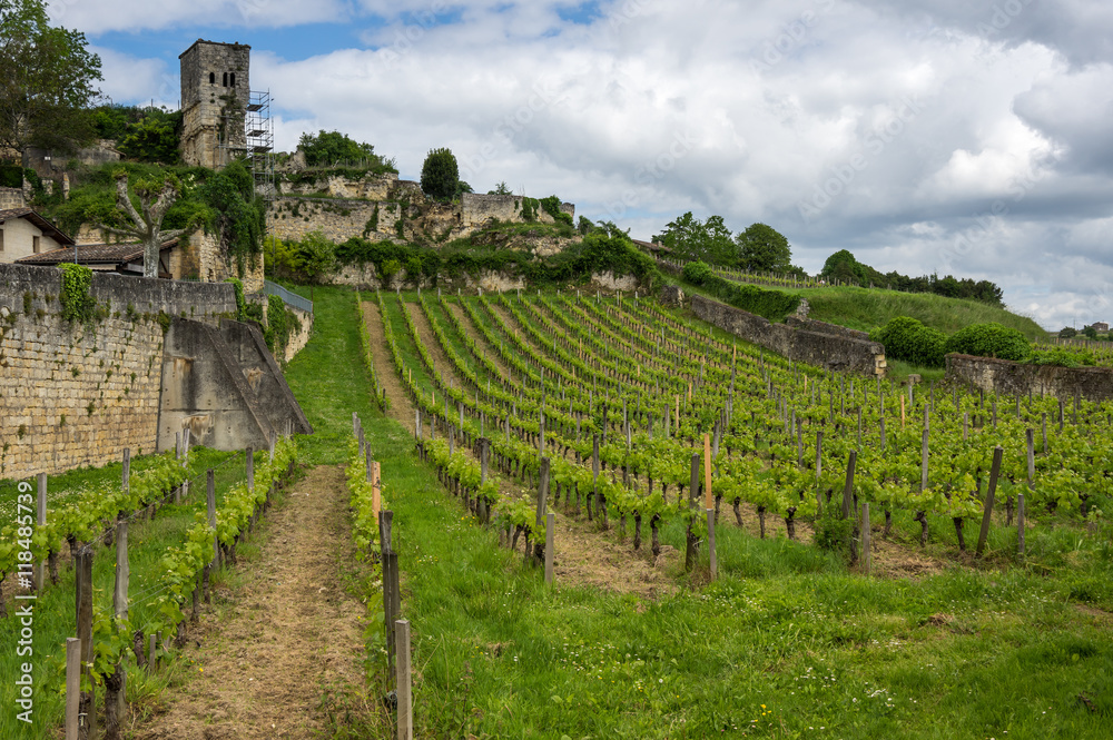Vineyards of Saint-Emilion