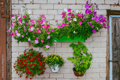 Colorful floral display of hanging baskets on a white brick wall 