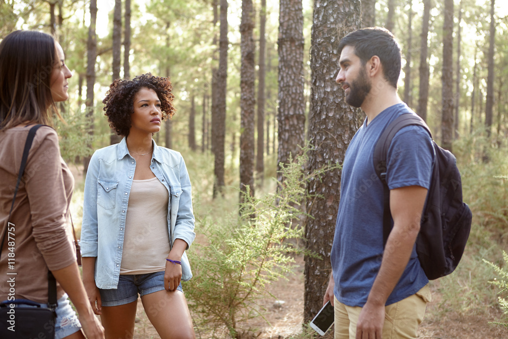 Friends chatting in a pine forest Friends chatting in a pine forest