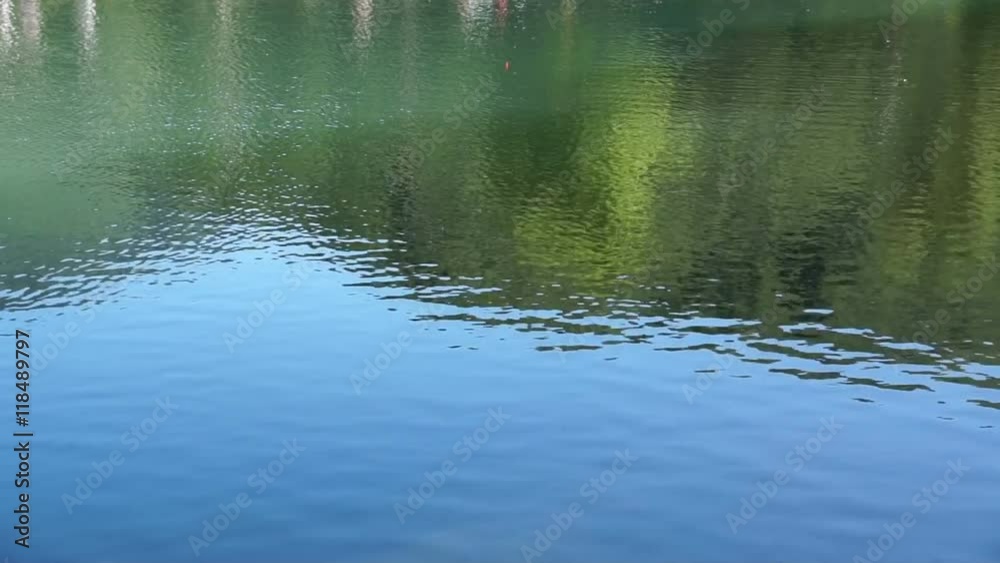 Beautiful views of forest lake with reflection of green trees and grass. Beautiful views of forest lake with reflection of green trees and grass.