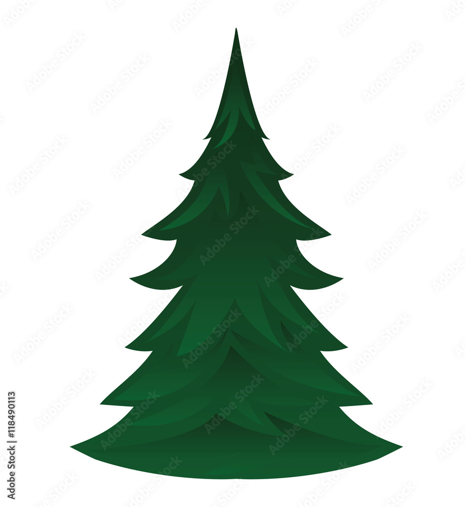 pine tree isolated icon