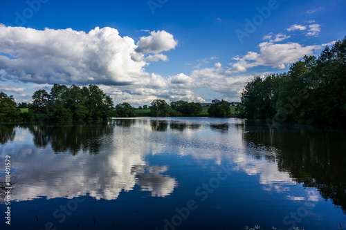 Summer lake with green pasture and blue sky with clouds - Czech Republic, Europe