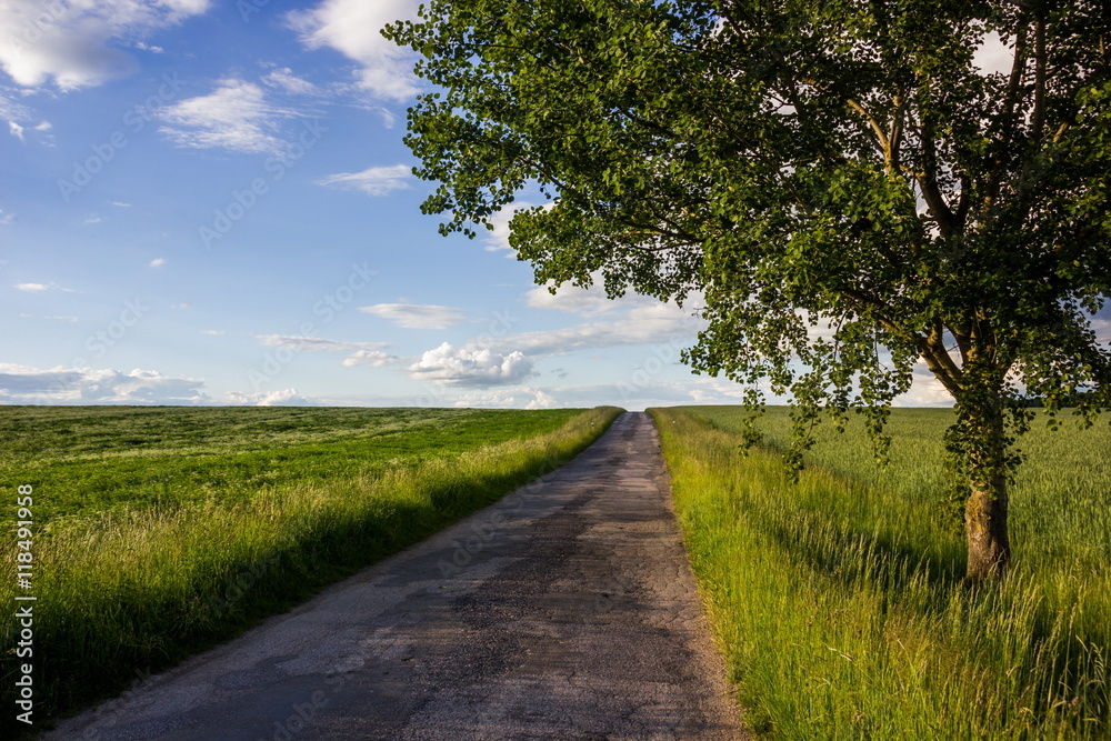 Summer countryside with green pasture and blue sky with clouds - Czech Republic, Europe Summer countryside with green pasture and blue sky with clouds - Czech Republic, Europe