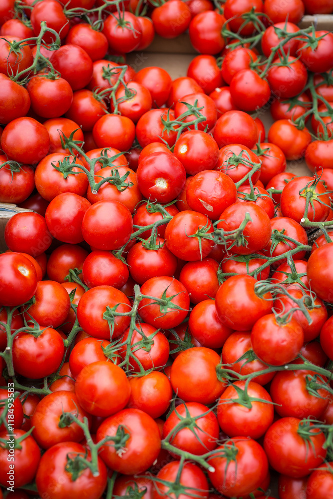 Tomates Tomates