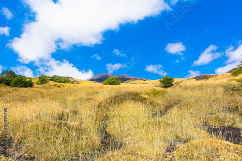 View of the Volcano Etna in a summer day