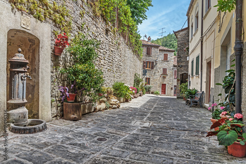 Narrow old cobbled street with flowers in Italy