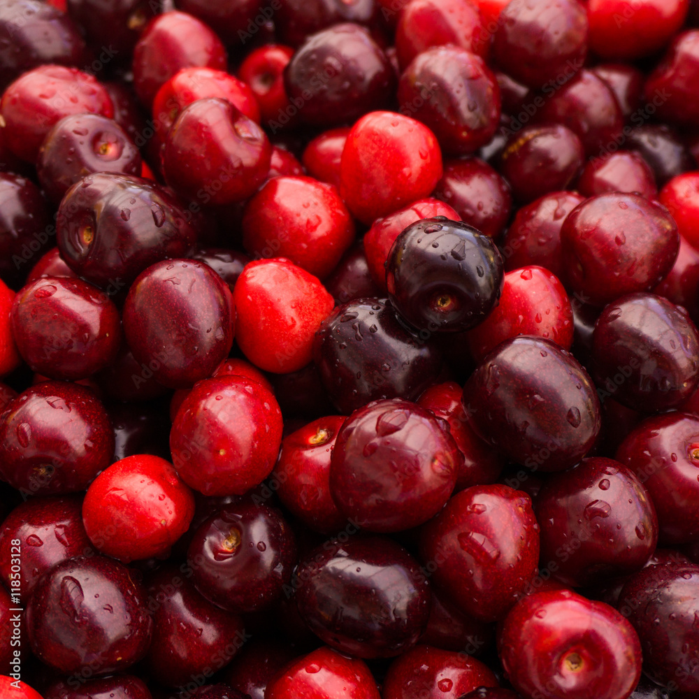 Sweet cherry. cherry background Sweet cherry. cherry background
