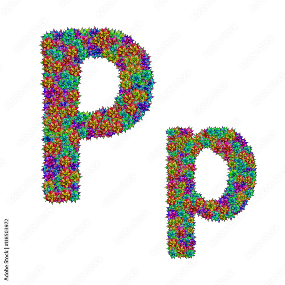 letter P made from bromeliad flowers isolated on white backgroun letter P made from bromeliad flowers isolated on white backgroun