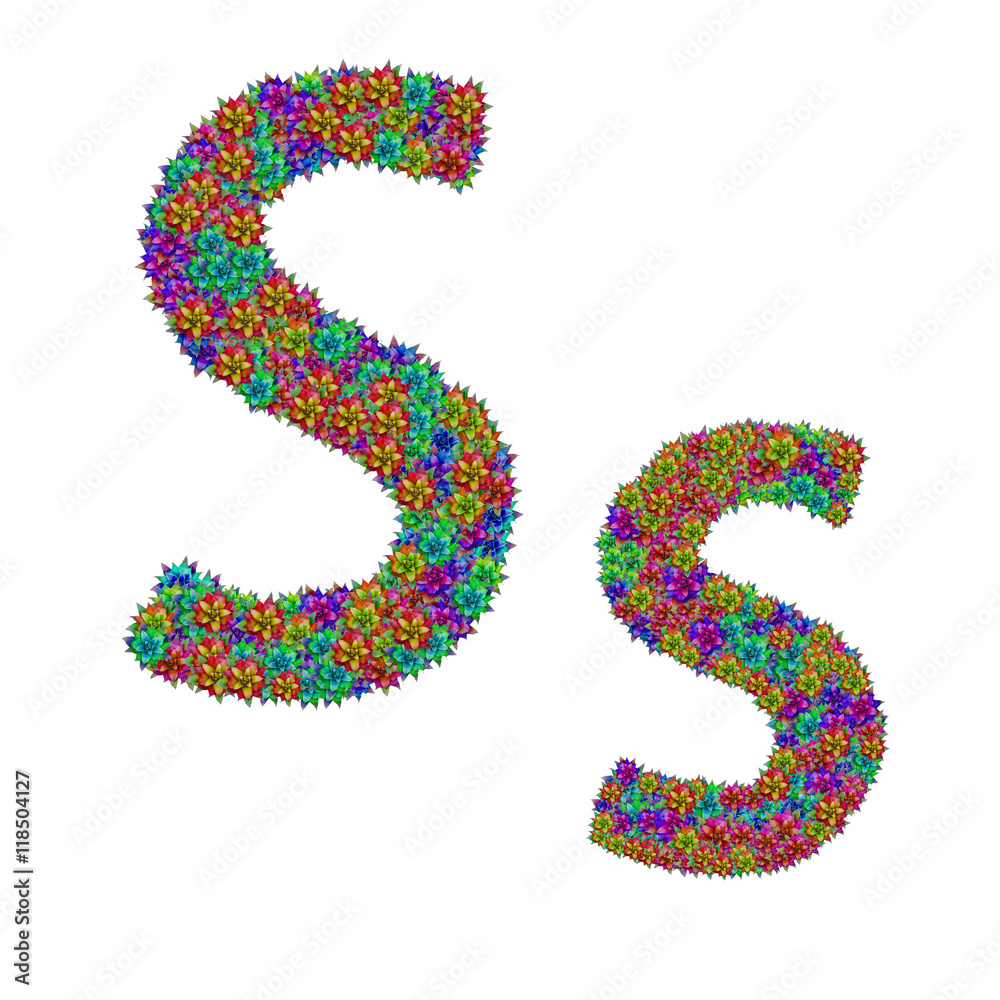 letter S made from bromeliad flowers isolated on white backgroun