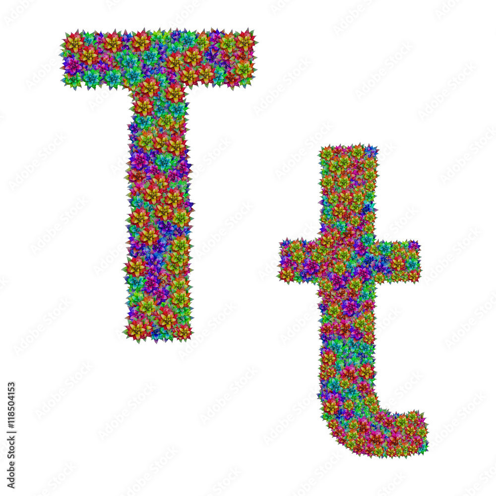 letter T made from bromeliad flowers isolated on white backgroun letter T made from bromeliad flowers isolated on white backgroun