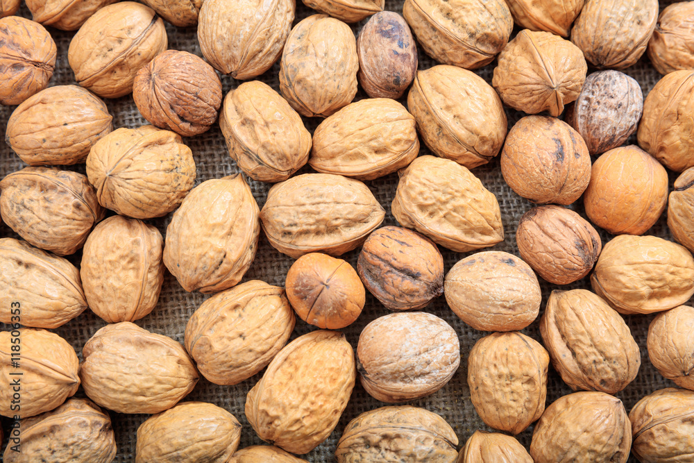 Walnuts in shell as background Walnuts in shell as background