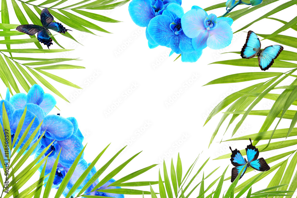 Frame of beautiful flowers, butterflies and palm leaves with space for text on white background.