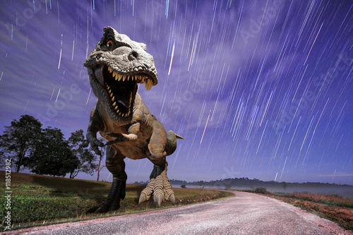 Dinosaurs model with falling star background © sahachat