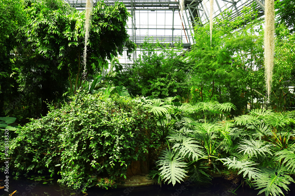 Botanical garden in summertime Botanical garden in summertime