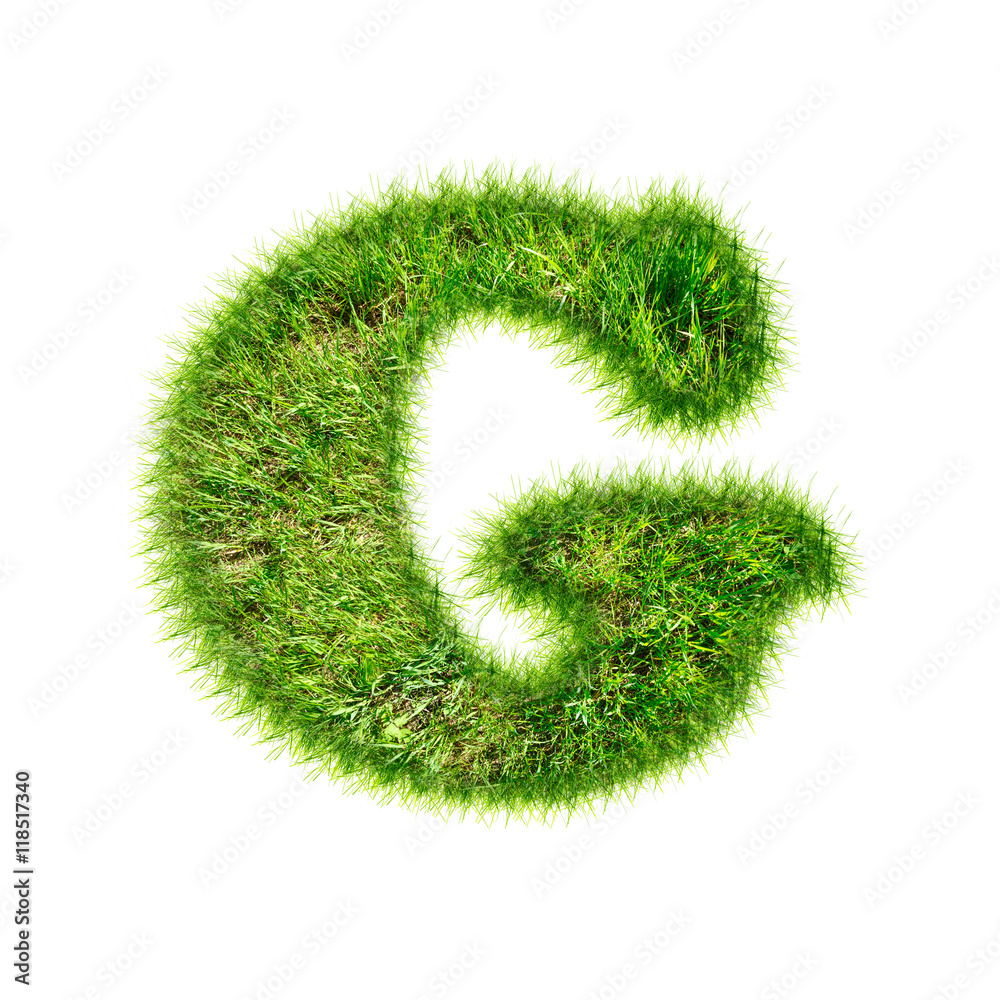 Capital latin letter of green grass Capital latin letter of green grass