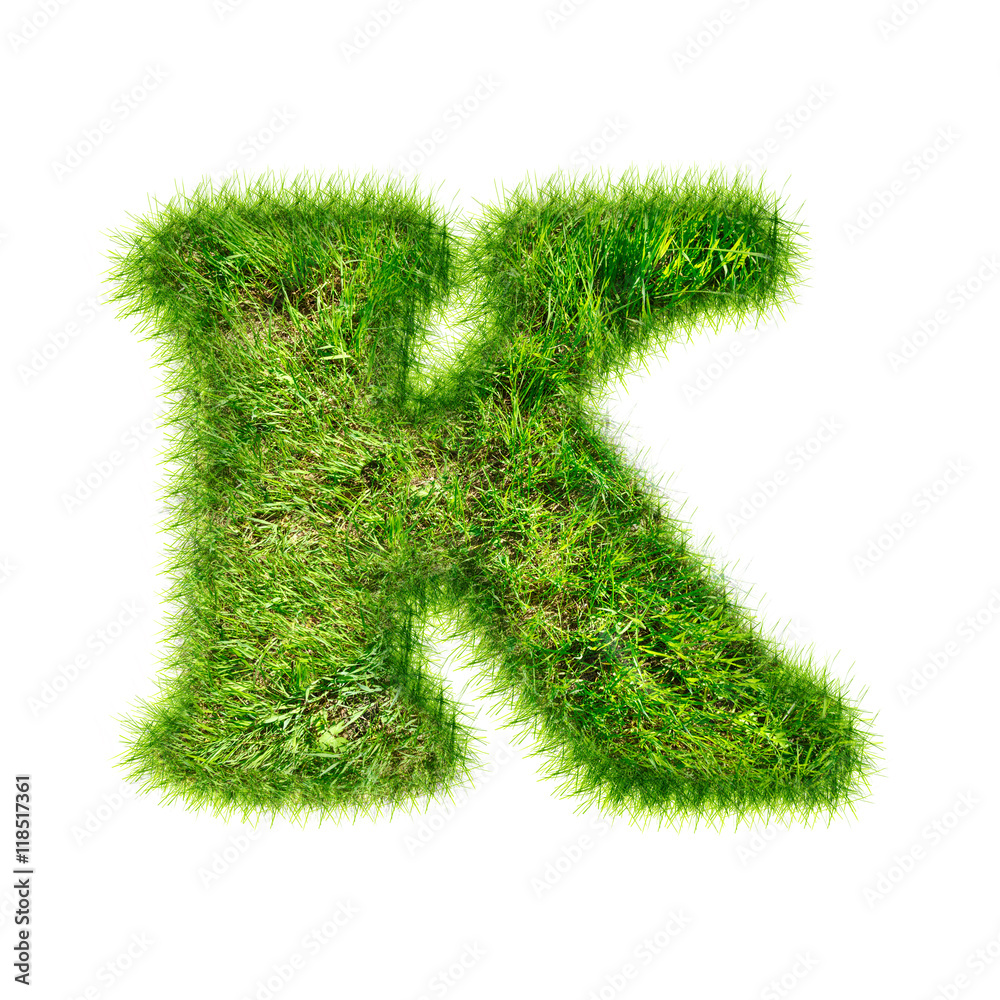 Capital latin letter of green grass Capital latin letter of green grass