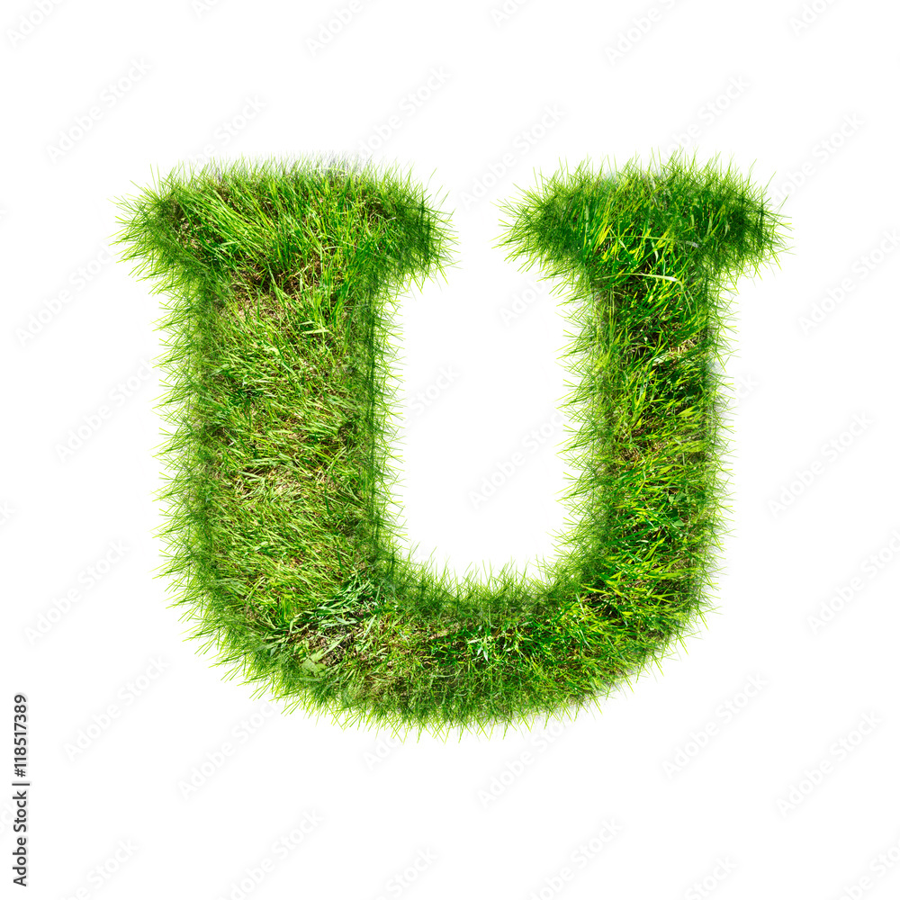 Capital latin letter of green grass Capital latin letter of green grass