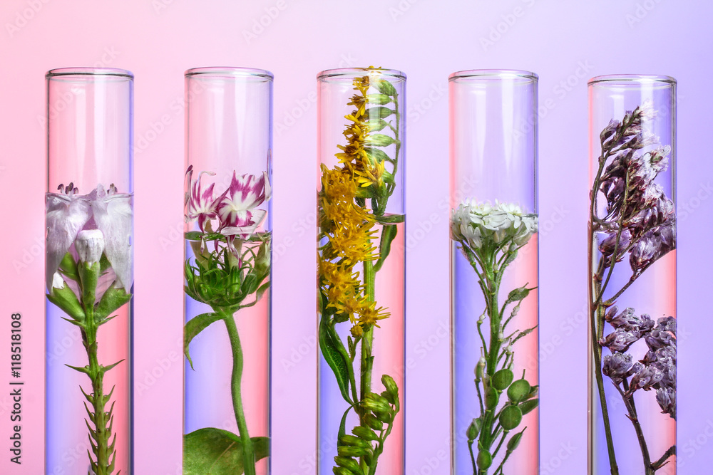 Flowers and plants in test tubes on wooden background. The concept of biological research - obrazy, fototapety, plakaty 