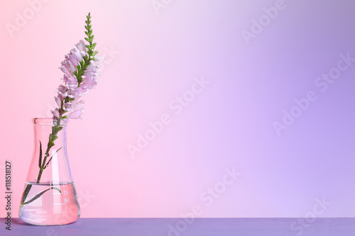 Flowers and plants in test tubes on wooden background. The concept of biological research