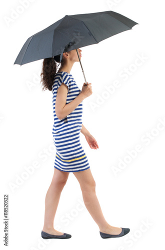 young woman in dress walking under an umbrella. Rear view people collection.  backside view of person.  Isolated over white background. Swarthy girl in a checkered dress comes in the rain. © ghoststone