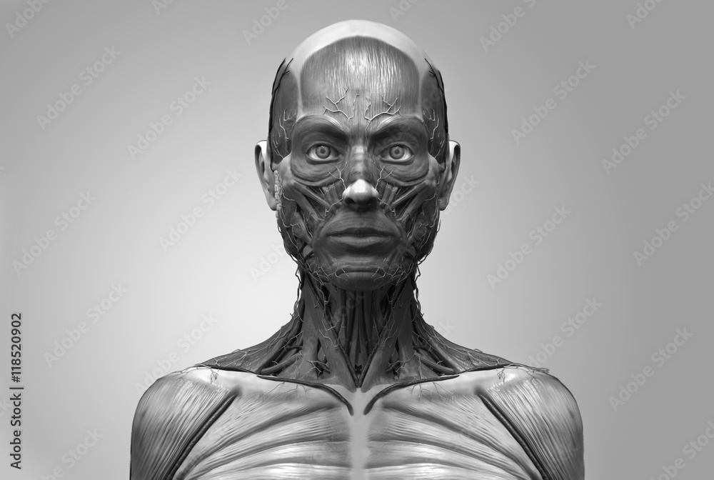 human anatomy of a female , anatomy of the head neck and chest in realistic 3d rendering in black and white
