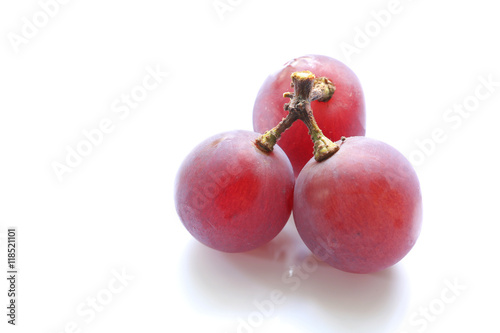 Japanese juicy grape isolated #2