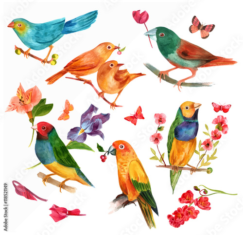 Set of Victorian style vector watercolor birds with butterflies
