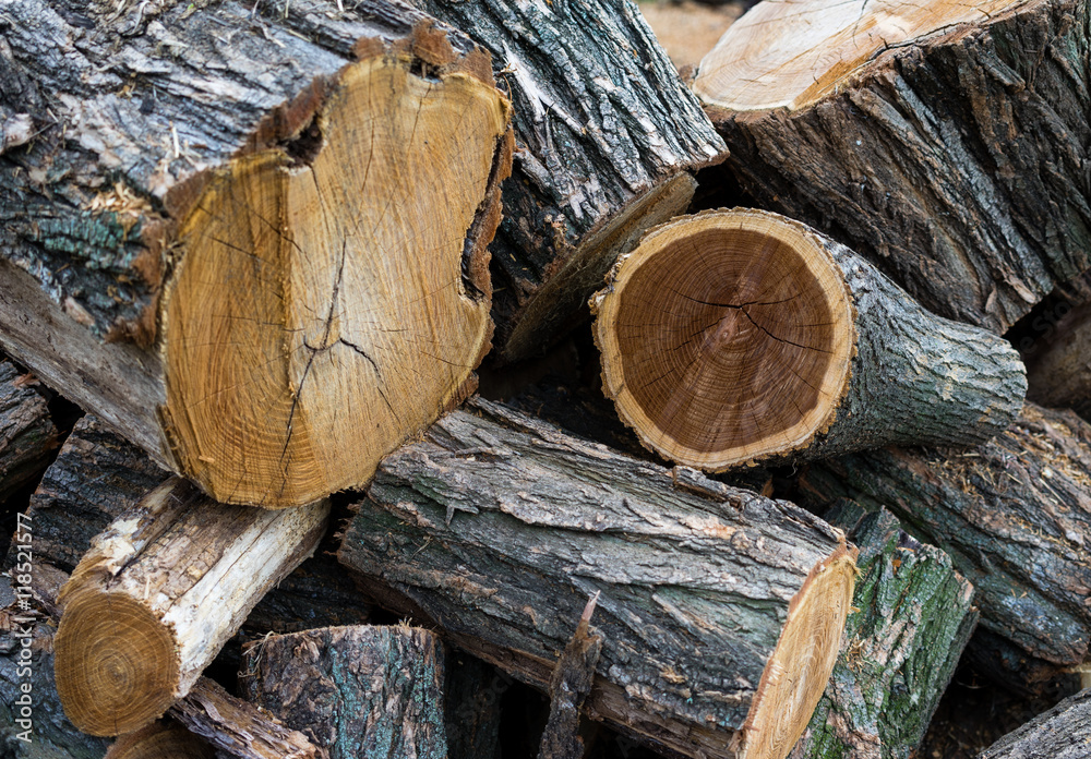 Stack of firewood. Pile of wood logs ready for winter. Stack of firewood. Pile of wood logs ready for winter.