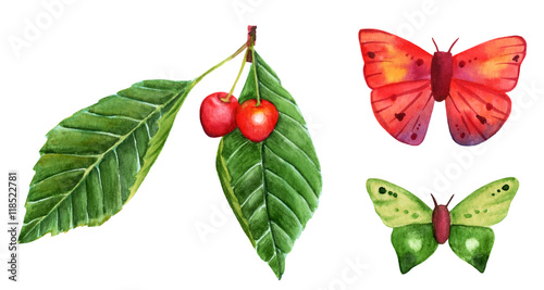 Branch of cherries with green leaves and butterflies on white