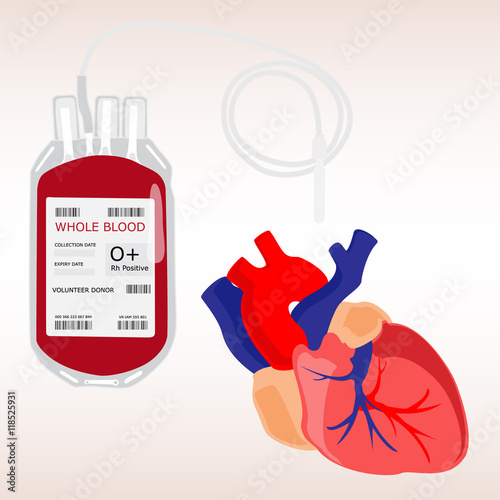 Human heart and blood bag