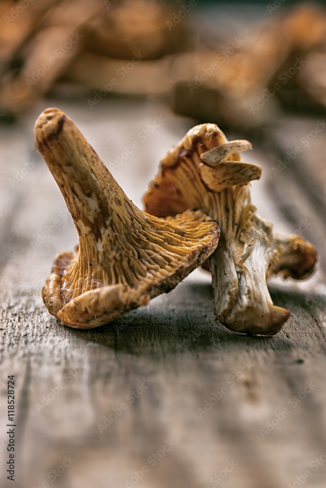 Сhanterelles on a wooden background, toned, closeup Сhanterelles on a wooden background, toned, closeup