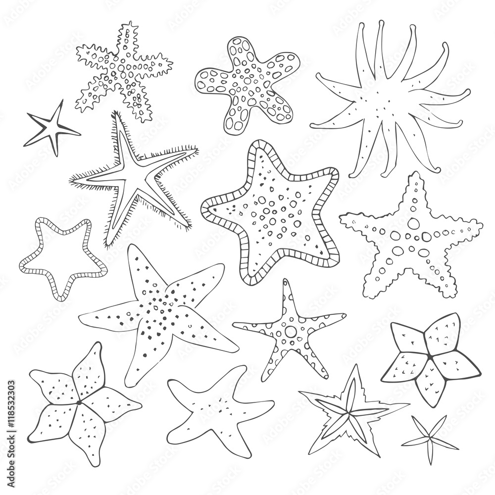 Hand drawn vector line sea star set. Doodle line starfishes Hand drawn vector line sea star set. Doodle line starfishes