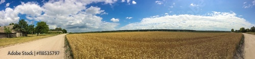 Пшеничное поле у дороги