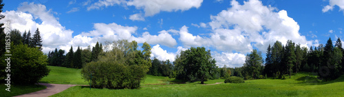 Panorama luxury landscape nature. Trees and fields on the hills in the summer. Large white clouds in the blue sky.