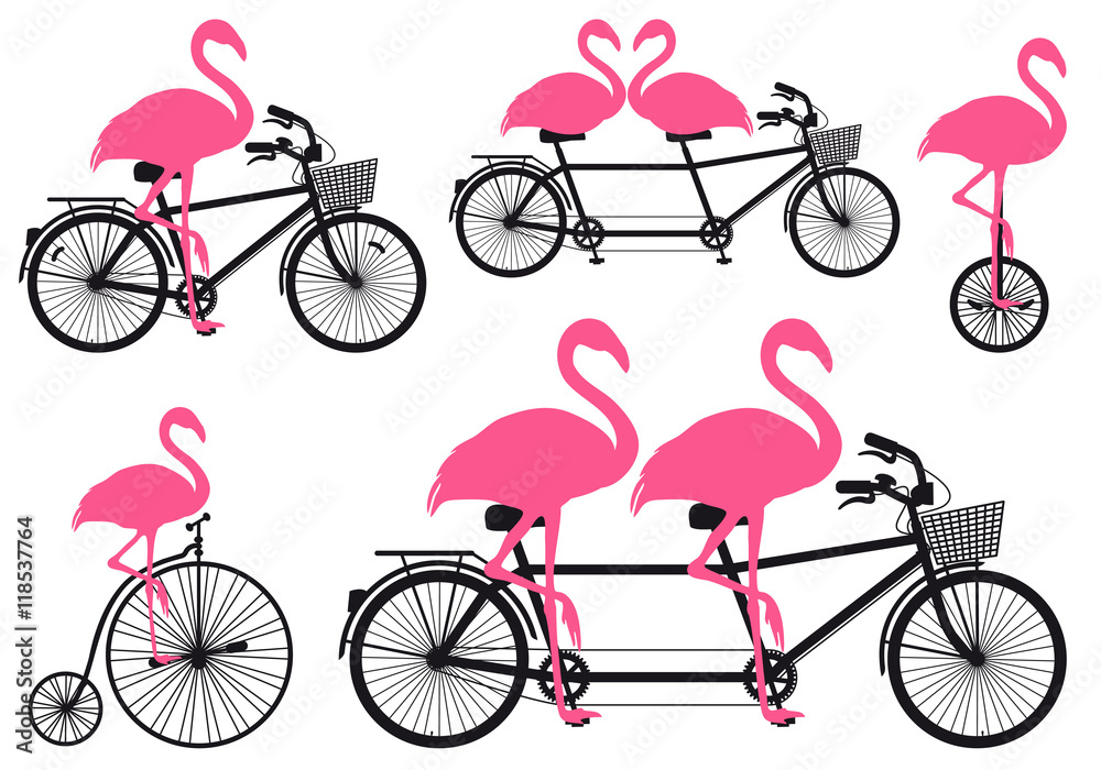 Naklejka premium flamingo on bicycle, vector set