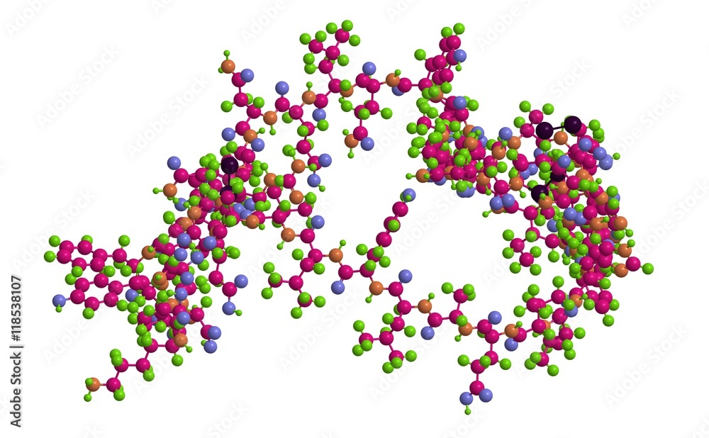 Molecular structure of insulin,3D rendering Molecular structure of insulin,3D rendering