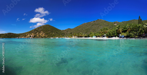 Fototapeta Naklejka Na Ścianę i Meble -  Tropical shoreline in British Virgin Island (BVI), Caribbean